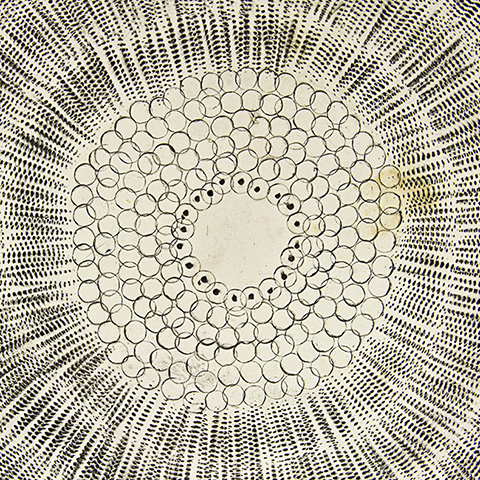 Pattern Detail in a Ceramic Bowl by Len Castle